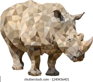 Rhinoceros (white rhino) low poly; polygonal vector illustration design on white background