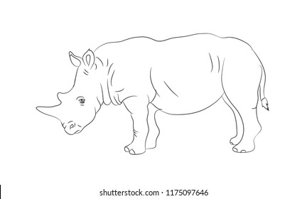 rhinoceros worth drawing lines, vector, white background