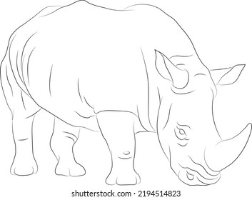 Rhinocheros Line Art Coloring Page 