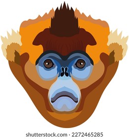 Rhinopithecus. The face of the monkey is depicted in vector style. A vivid image of a primate. Logo, illustration isolated on white background.