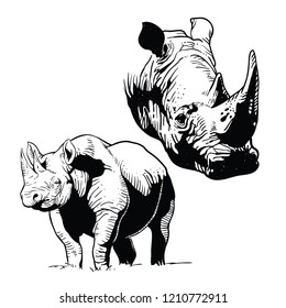 Rhinos Line Art Vector