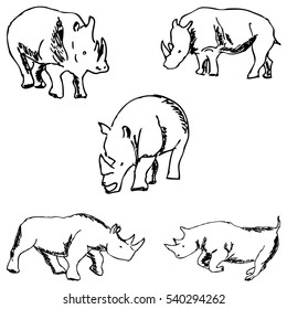 Rhinos. A sketch by hand. Pencil drawing