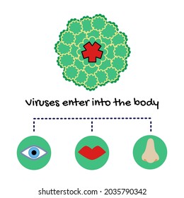 Rhinovirus Most Cause Of Common Cold ,it Can Enter Into The Body Through Eyes ,mouth And Respiratory 