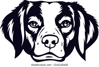 Rhodesian Ridgeback raza de perro 