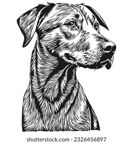 Rhodesian Ridgeback dog cartoon face ink portrait, black and white sketch drawing, tshirt print