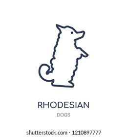 Rhodesian Ridgeback dog icon. Rhodesian Ridgeback dog linear symbol design from Dogs collection. Simple outline element vector illustration on white background.