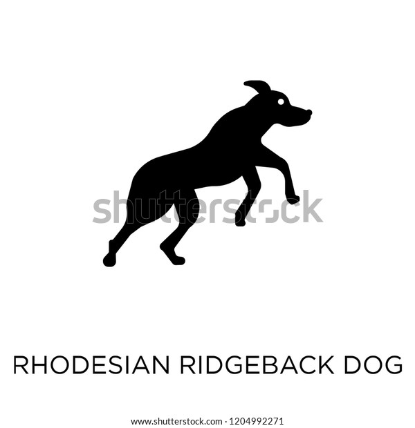 Rhodesian Ridgeback Dog Icon Rhodesian Ridgeback Stock Vector (Royalty ...