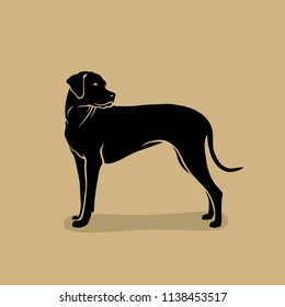 Rhodesian Ridgeback dog - isolated vector illustration