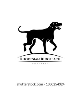 Rhodesian Ridgeback perro - ilustración vectorial aislada