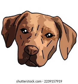 Rhodesian Ridgeback Dog Pet Colored Drawing