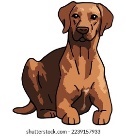 Rhodesian Ridgeback Dog Pet Colored Drawing