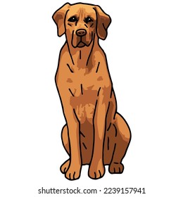 Rhodesian Ridgeback Dog Pet Colored Drawing