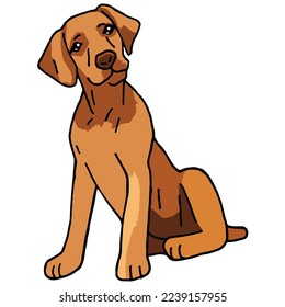 Rhodesian Ridgeback Dog Pet Colored Drawing