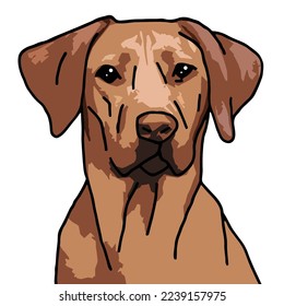 Rhodesian Ridgeback Dog Pet Colored Drawing