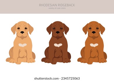 Rhodesian ridgeback puppy clipart. Different poses, coat colors set.  Vector illustration