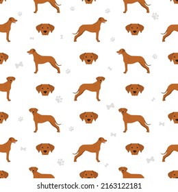 Rhodesian ridgeback seamless pattern. Different poses, coat colors set.  Vector illustration