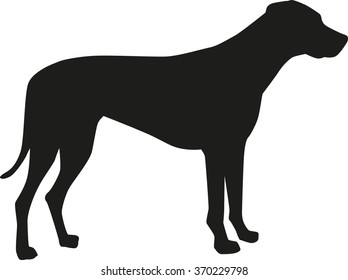 Rhodesian ridgeback silhouette