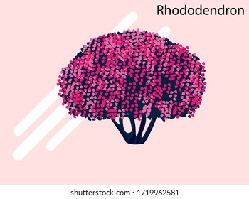 Rhododendron tree and flower flat vector icon illustration full editable	
