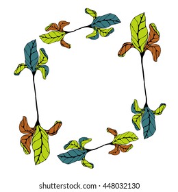 rhombus frame of the plant leaves. vector. hand drawing