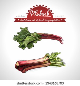 Rhubarb Collection of fresh vegetables with leaf. Vector illustration. Isolated	