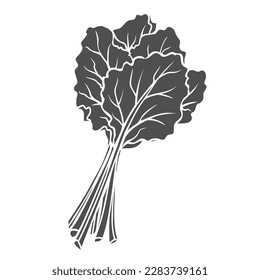 Rhubarb glyph icon vector illustration. Stamp of summer plant with leaf on ripe stem, bunch of spring garden leaves with stalks of strawberry flavor for cooking sweet pie, rhubarb tart and cake