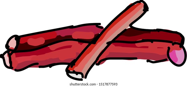 Rhubarb, ilustración, vector sobre fondo blanco.