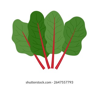 Rhubarb leaves, icon vector illustration. Fresh greens rhubarb tops with red stems. Natural organic vegetable. Healthy food ingredient, garden plant.