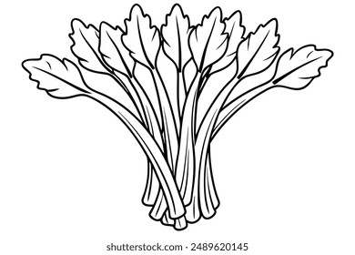 Rhubarb Root line art minimalist sketching idea