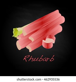 Rhubarb vector illustration isolated