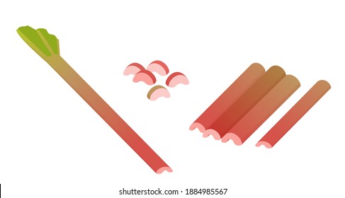 Rhubarb, whole and chopped. Vector pieplant illustration in cartoon flat style isolated on white.