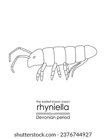 Rhyniella, a Devonian period springtail, the earliest known insect, black and white line art illustration. Ideal for both coloring and educational purposes