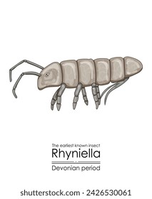 Rhyniella, the earliest known insect, a Devonian period springtail. Colorful illustration on a white background