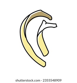 rib bone color icon vector. rib bone sign. isolated symbol illustration