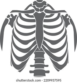 Rib cage icon. Human anatomy. Skeleton bones