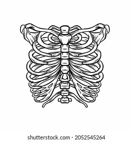 Rib skeleton realistic line vector medical illustration