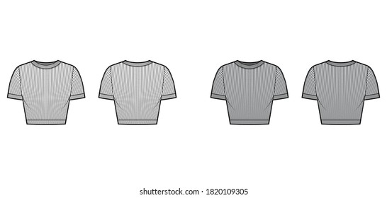 Ribbed cropped cotton-jersey t-shirt technical fashion illustration with scoop neck, short sleeves, close fit. Flat sweater apparel template front back white grey color. Women men unisex knit top