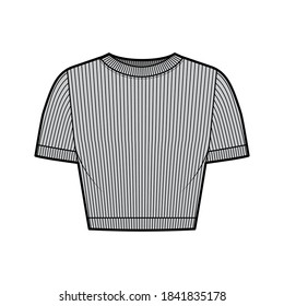 Ribbed cropped cotton-jersey t-shirt technical fashion illustration with scoop neck, short sleeves, close fit. Flat outwear sweater apparel template front grey color. Women men unisex knit top CAD