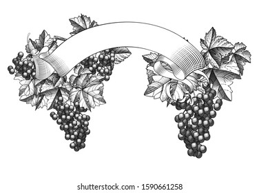 Ribbon banner with bunch of grapes with leaves. Vintage black and white engraving stylized drawing. Vector illustration