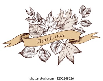 Ribbon design of autumn leaves with thank you sing. Hand drawn vector illustration