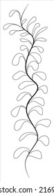 Ribbon pattern for the border. Floral motif border to decorate the edge of the leaf