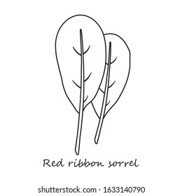Ribbon vector icon.Outline,line vector icon isolated on white background ribbon .