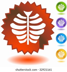 insignia de cinta