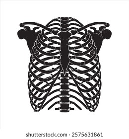 Ribcage silhouette on white background
