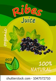 Ribes  juice template packaging design vector illustration.Layout of Ribes   juice pack isolated on white background.