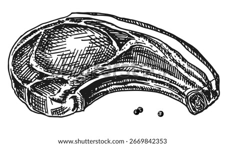 Ribeye steak illustration. Raw meat. Sketch style steak. Hand drawn ribeye beef steak. Vintage engraving. Butcher shop product. Meat food.  For menu design, printing and stamping. Engraved vector 
