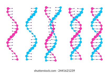 La hélice ribonucleica se conecta a la espiral de adn. Conjunto de iconos de mutación genética y prueba de proteínas. Modelo de molécula de ADN de doble secuencia de puntos. Símbolo de tecnología de clonación y modificación genética.