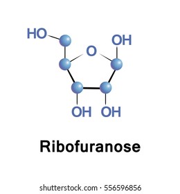 Ribose is a carbohydrate and a pentose monosaccharide (simple sugar). The ribose ?-D-ribofuranose forms part of the backbone of RNA.