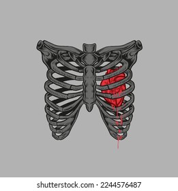 ribs of bone with heart isolated on a gray background
