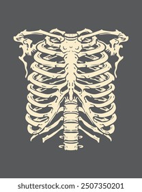 Ribs chest skeleton clip art illustration vector t shirt, sticker, tattoo, poster design editable