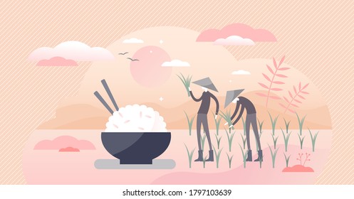 Rice agriculture harvest and healthy meal with food bowl flat tiny persons concept. Raw traditional plants cultivation as work occupation scene vector illustration. Workers with classical asian hats.
